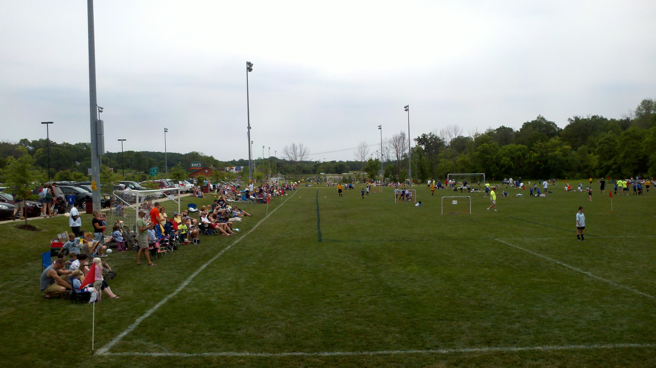 sports turf management