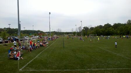 sports turf management