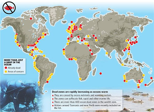 chemical fertilizer causes deadzones