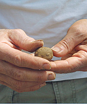 clay based soils, clay soil, Holganix, soil structure