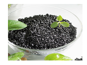 humates, holganix, organic fertilizer