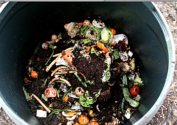 compost