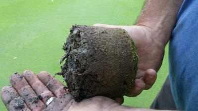 organic turf