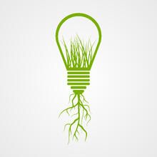 light_bulb_grass_roots.jpg