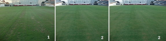 virginia tech field