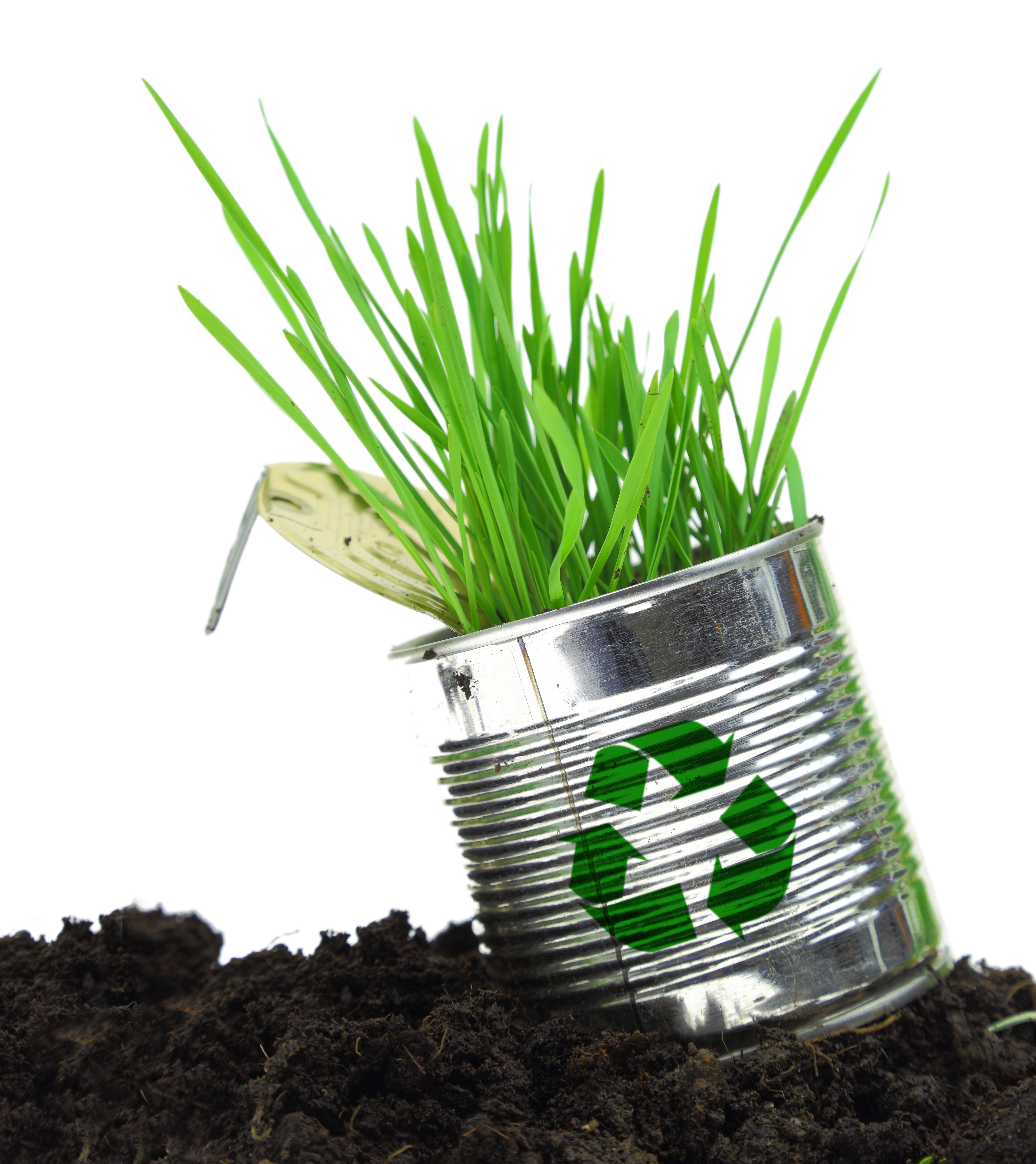 Holganix day of growth