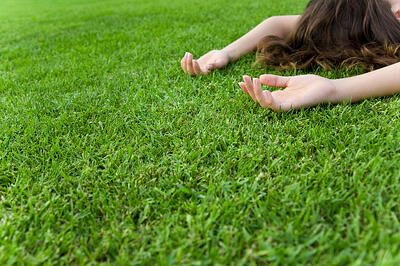 spring lawn care