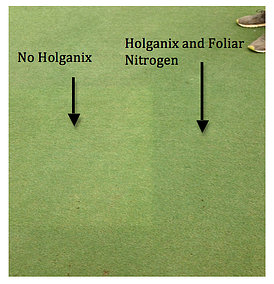 Holganix