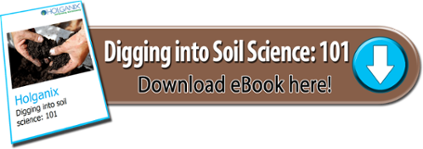 soil food web