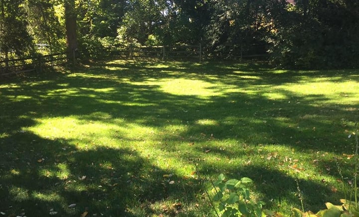 fall_lawn_Care