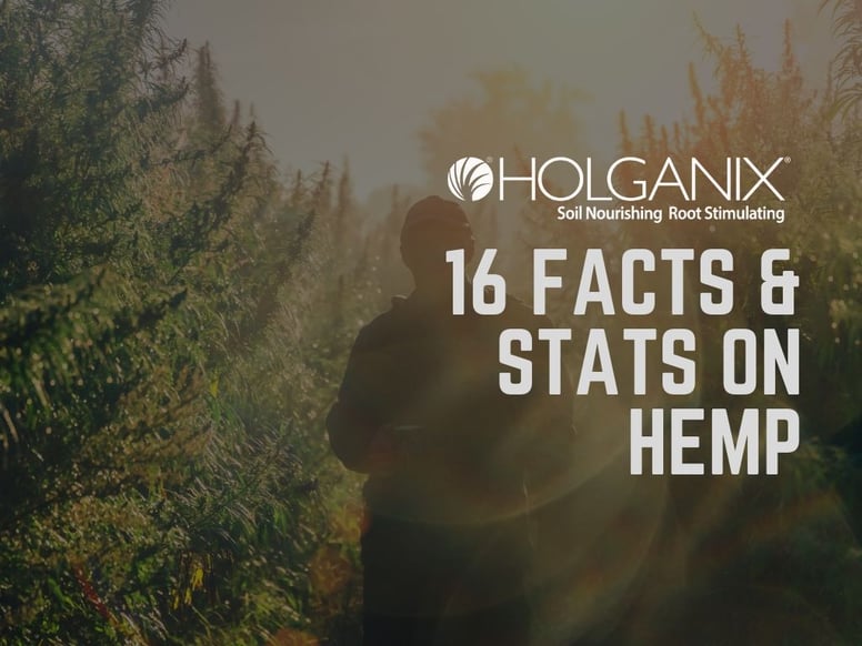 16 facts & stats on hemp