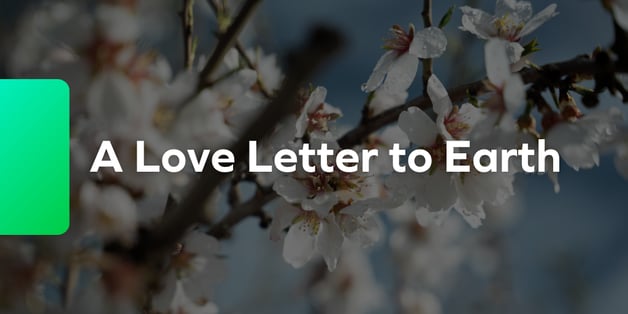 2026 Blog Header Template (1)