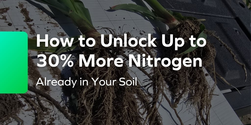 Nitrogen