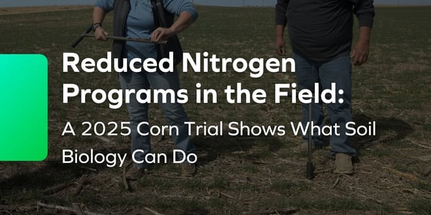 Nitrogen reduction