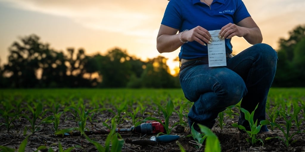 fertilizer 