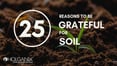 25 Reasons To Be Grateful For Soil: Why Soil Is Important?