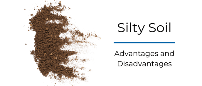 Silty soil