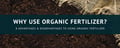 8 Advantages and Disadvantages of Using Organic Fertilizer