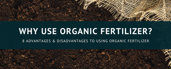 organic_Fertilizer