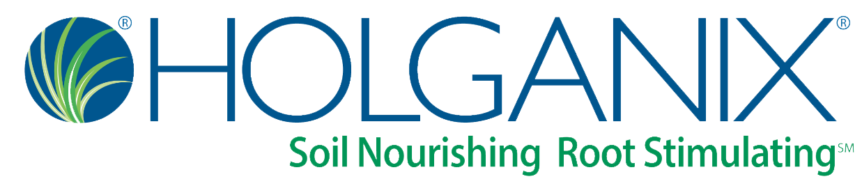 holganix logo