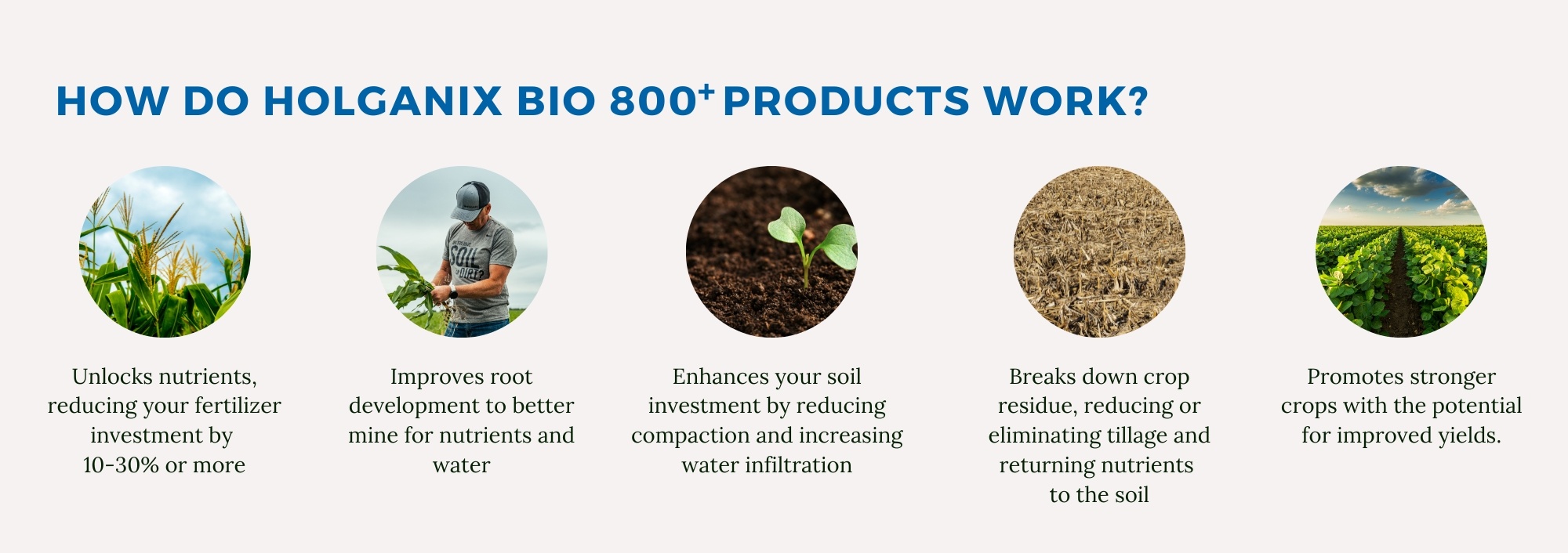 Bio 800 Breakdown