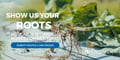 Show Us Your Roots! Holganix 12th Annual Roots Competition