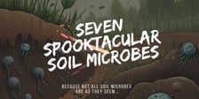 Seven Spooktacular Soil Microbes