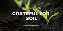 25 Reasons To Be Grateful For Soil: Why Soil Is Important?