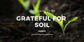 25 Reasons To Be Grateful For Soil: Why Soil Is Important?