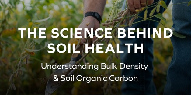 Soil health 