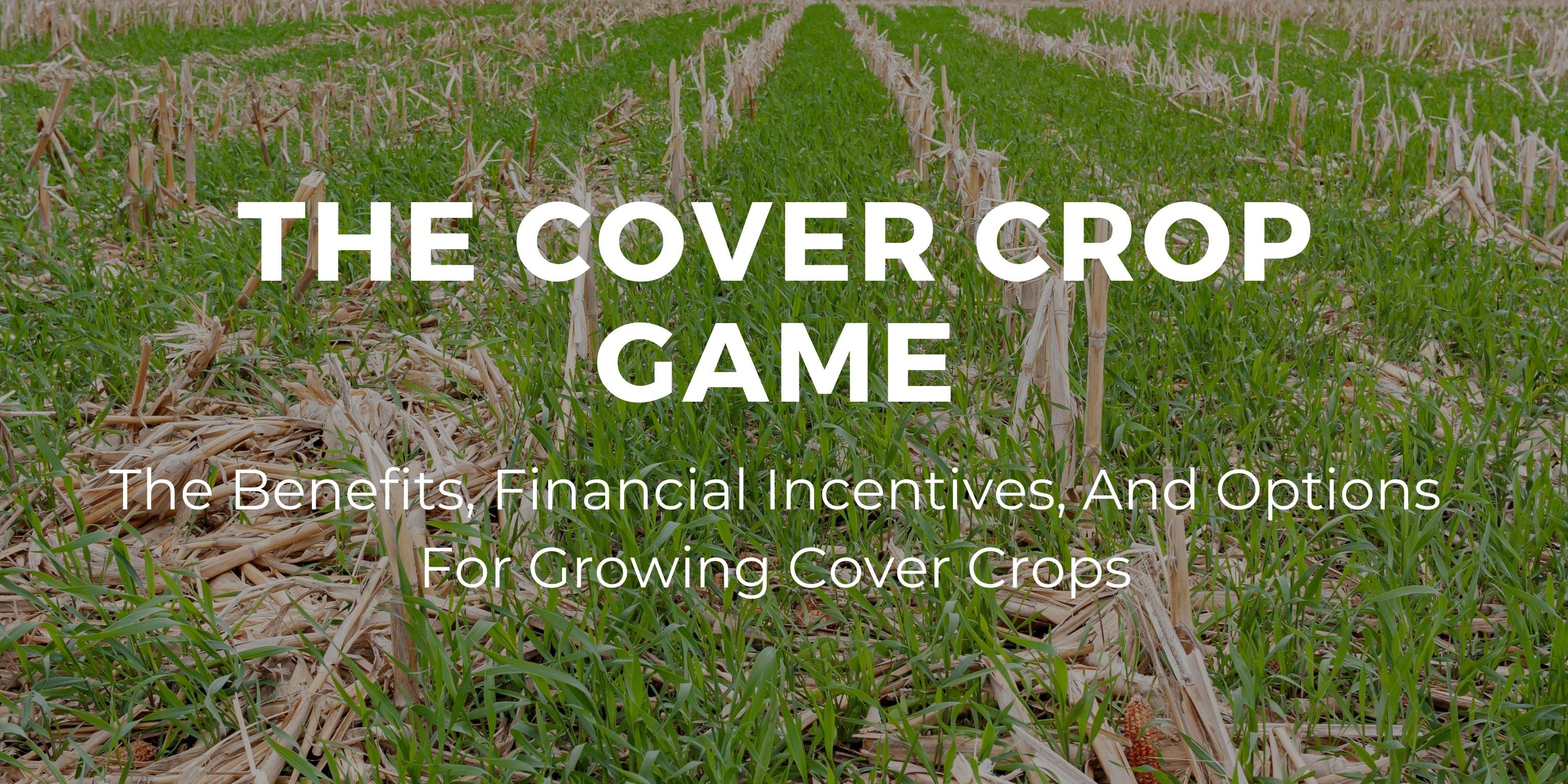 cover crops