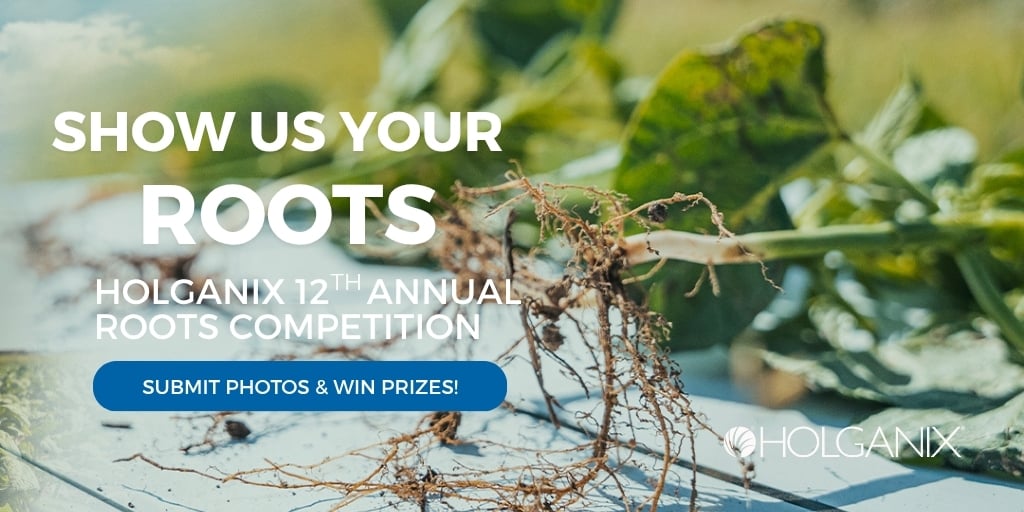 roots competition