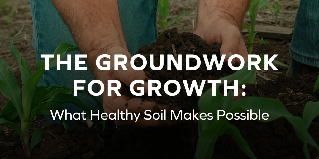 Blog headers #2 (25)