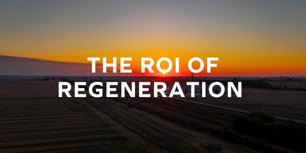 Blog headers #2 (3)-2