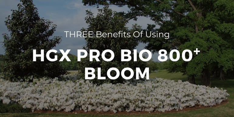 HGX Pro Bio 800 Bloom
