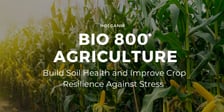 Holganix Bio 800 Agriculture: Build Soil Health And Improve Crop Resilience Against Stress