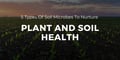 5 Types of Soil Microbes to Nurture Plant and Soil Health