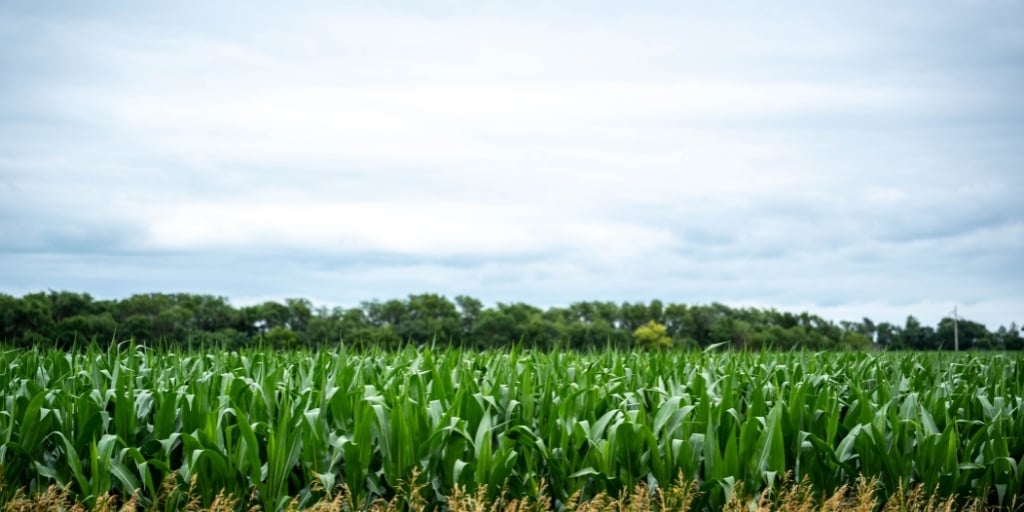 Blog headers & Events Template (11)