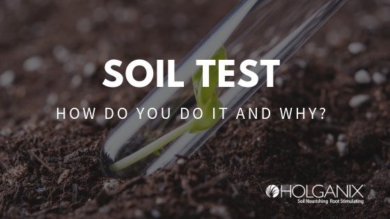 Soil test