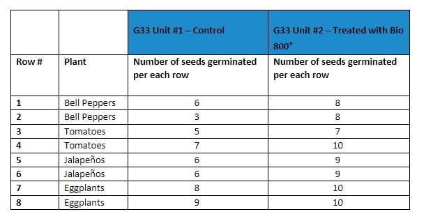 seed germination