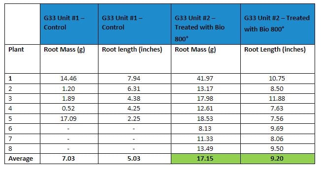 bell pepper root mass and root length