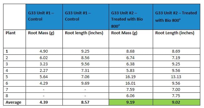 tomatoes root mass and root length