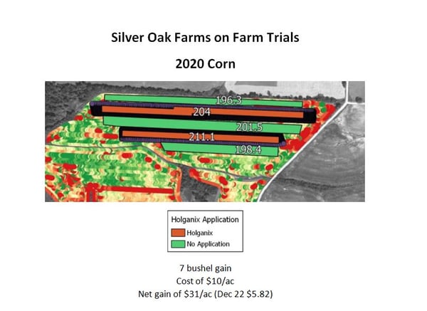 corn trials