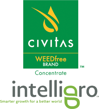 Civitas-Intelligro.jpg.png