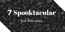Seven Spooktacular Soil Microbes