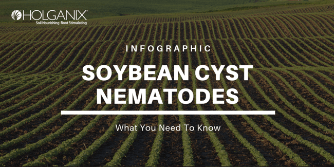 The Pros and Cons of Nematodes in Ornamentals - Greenhouse Grower