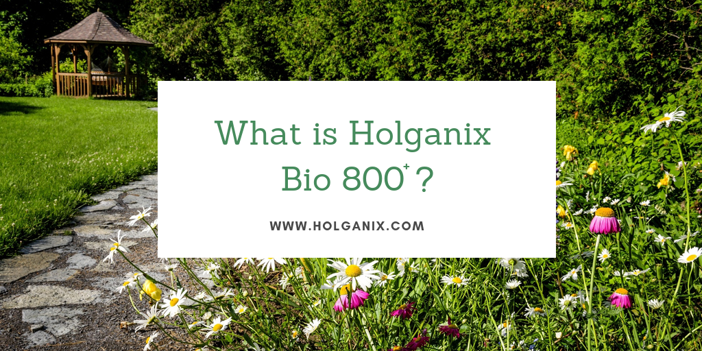 Holganix Bio 800