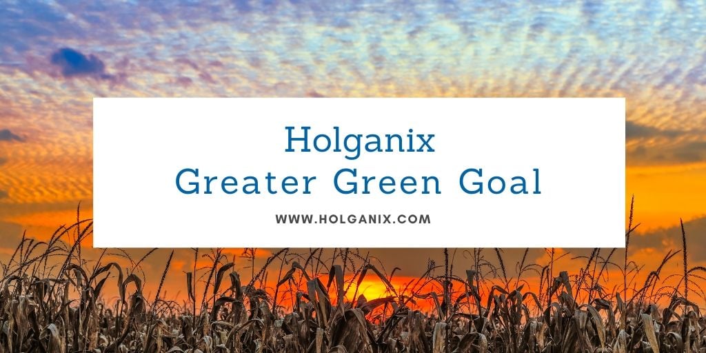 Holganix goal