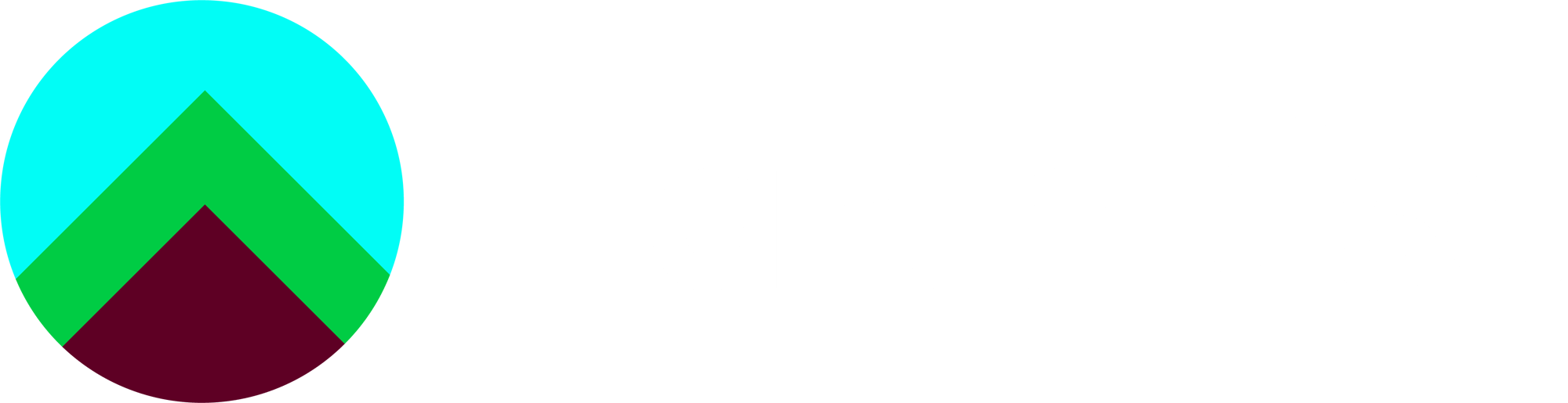 EarthRise_logo