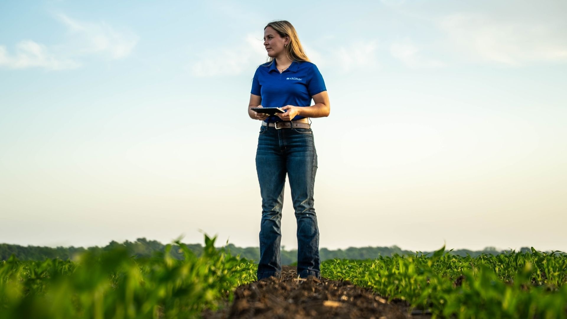 Employee w iPad photo